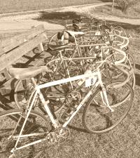 Velos in Reih und Glied